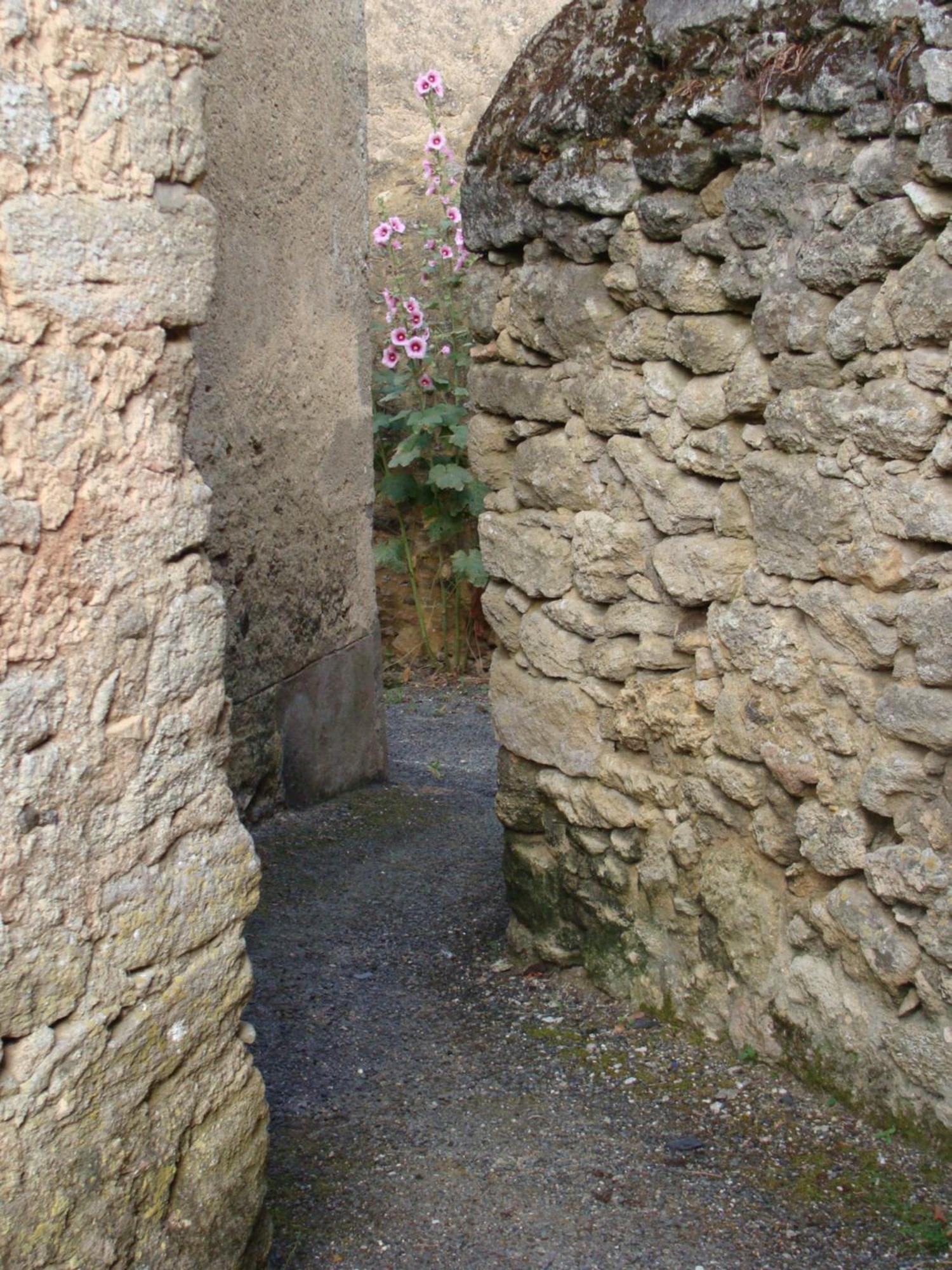 Gite Cote Ruelle Martigne-Briand Luaran gambar